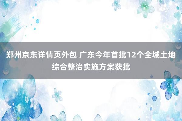 郑州京东详情页外包 广东今年首批12个全域土地综合整治实施方案获批