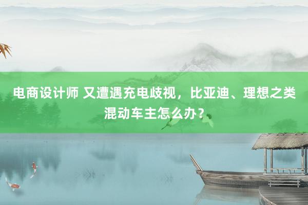 电商设计师 又遭遇充电歧视，比亚迪、理想之类混动车主怎么办？