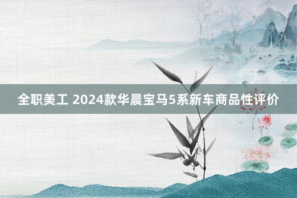 全职美工 2024款华晨宝马5系新车商品性评价